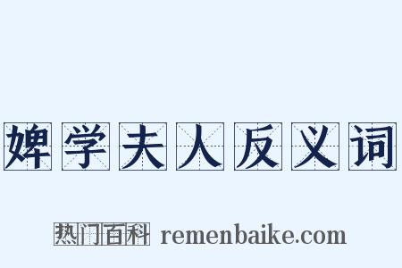 婢学夫人反义词是什么意思的图片